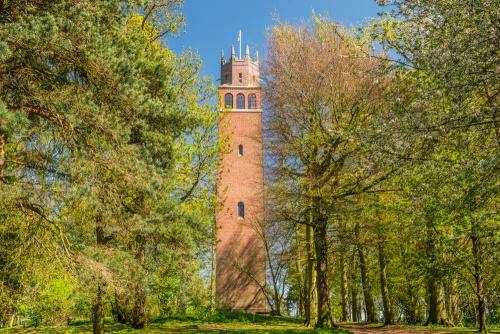 Faringdon Folly Tower rising above the surrounding woodland