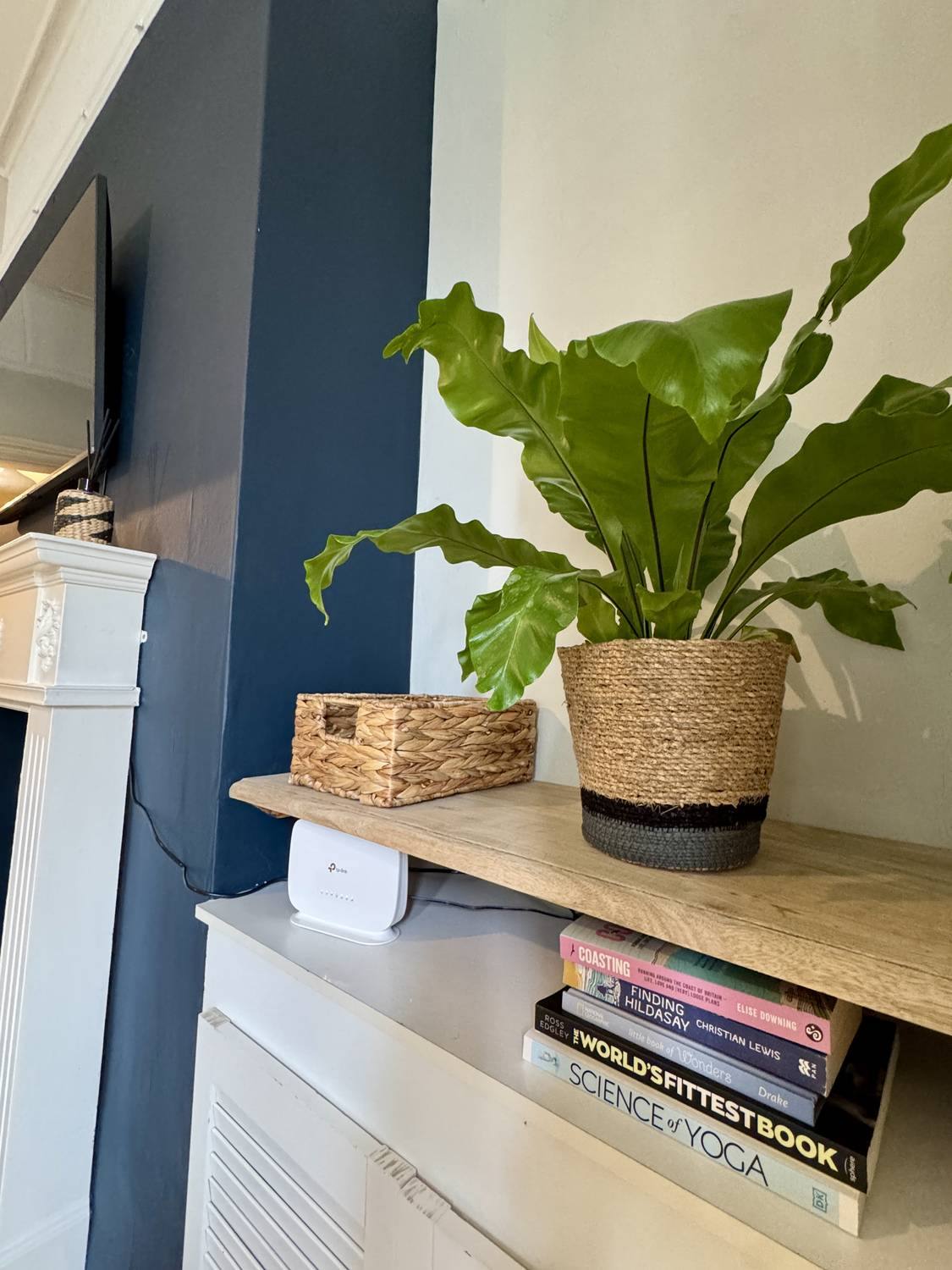 Styling detail with a house plant and books on the alcove shelf